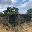 성읍리-3 이미지