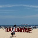 해운대 - 남구 삼산로395번길 9 | 해운대