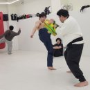 곧은미트