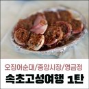 용궁정 | 속초여행 :: 모녀가리비 속초중앙시장 영금정 카페ONC