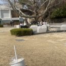 마켓올리 이미지