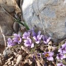 전산옥민박 이미지