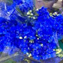 대가야꽃집 이미지