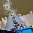 중부낚시터 이미지