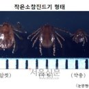야생과