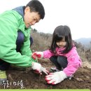 시우리체험마을