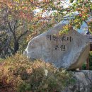 미천공원 이미지