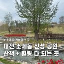 송자고택 | 대전 소제동 신상 공원 후기｜산책·아이랑 가기 좋은 힐링 공간