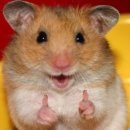 아크로짐 발산역점 24시 휘트니스 이미지