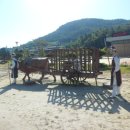 유배문학관 이미지