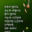 산책하는날 이미지