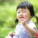 엘림스튜디오 Daum카페