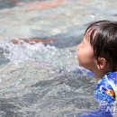 어푸어푸 이미지