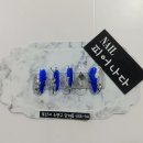 네일(NAIL) 피어나다
