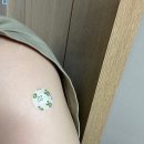 하이유 동물병원 이미지