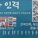 건하인력