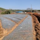 빛들마을 이미지