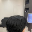 강남-175 이미지