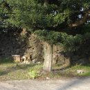 상효동-1 이미지