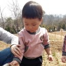 준영농장 이미지