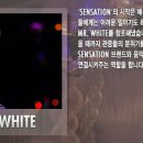 센세이션PC 이미지