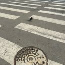 라피에스타 PC카페(논현2호점) | 인천 감성 데이트 코스 🌿 투파인더피터 &amp; 애니데이 플라워 신혼 일상 기록 🤍