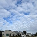 속초애견동반펜션 양양재인스가든 이미지