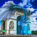 낙타(NAKTA) 이미지