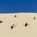 시드니스포츠 이미지