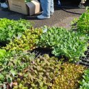 새한농장 이미지