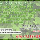 南山&#34;의 2013年12月13日(金)/15日(日),연말경마,부산경마(승부경주)및 실전베팅 가이드 이미지