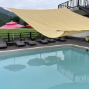 용소폭포 해바라기 이미지