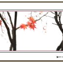 성남사 - 보성군 채동선로 198-1 | 성남사