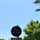 흥림산자연휴양림 | 흥림산자연휴양림 머위룸 숙박후기, 힐링 가득한 숲속 하루 🌲