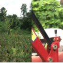 병수농장 이미지