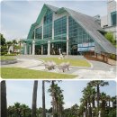 제주건강과 性 박물관 이미지