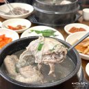 안동돌판찜닭&백세삼계탕 | 온천동맛집 백년백세토종삼계탕 부모님과 식사하기 좋은 식당 후기