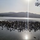 머리풍경 이미지