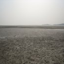 신안 태양광발전소 이미지