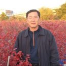 청운제2농장 네이버블로그