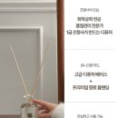포레스트캄