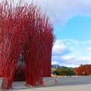 남부가든 이미지