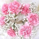 대성토탈장식 | ㈜더자빈) 자빈 장례후기 - 대성병원 장례식장​