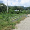 원통초 신덕분교장 이미지