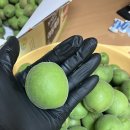 (주)왕왕 이미지