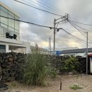 젠틀리하우스 | [제주도 감성 숙소] 코타 제주 펜션 1박 내돈내산 후기