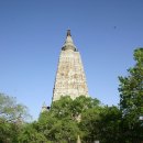 보드가야(BODHGAYA) 이미지