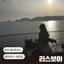 삼봉리 음식문화마을 | [부산] 리스보아 / 부산 여행코스 영도 뷰맛집 크로플 부산야경카페 (흰여울 문화마을 주차방법)