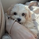 하늘반 유하의 주말기록❤️ 이미지