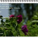 구곡초등학교 이미지